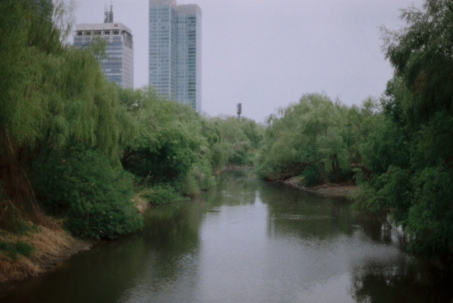 Film Dump