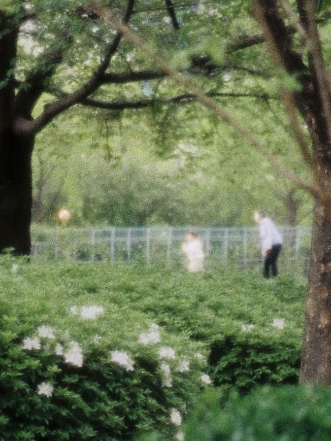 Film Dump