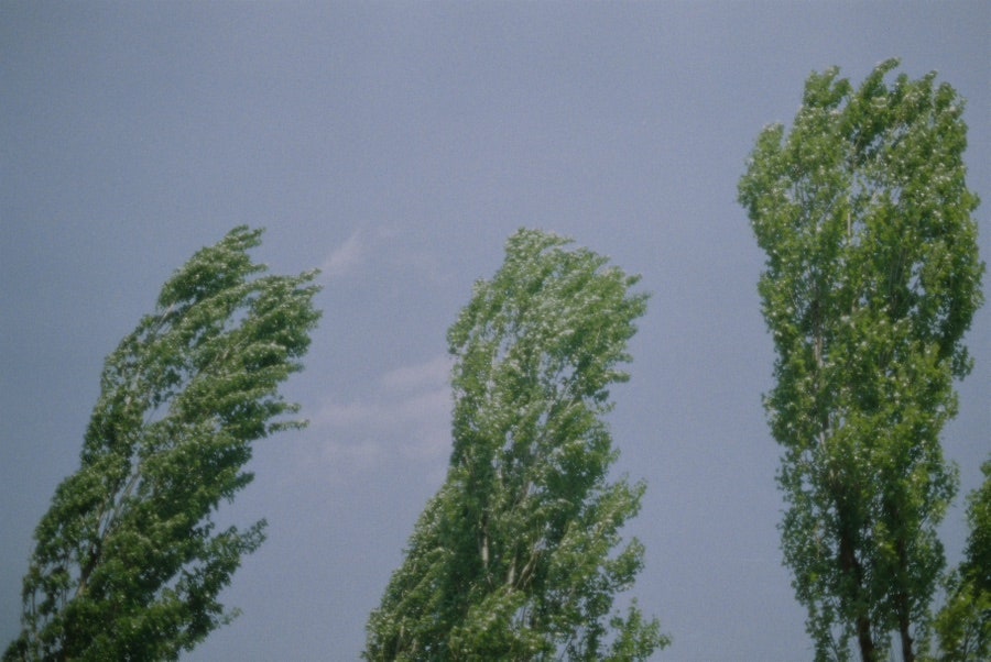 Film Dump