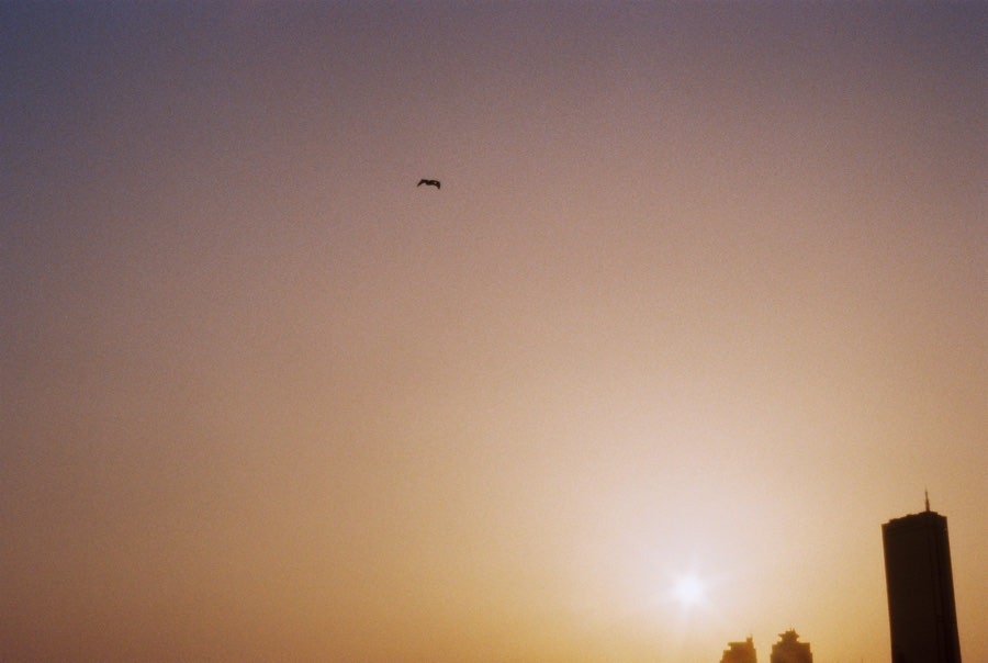Film Dump