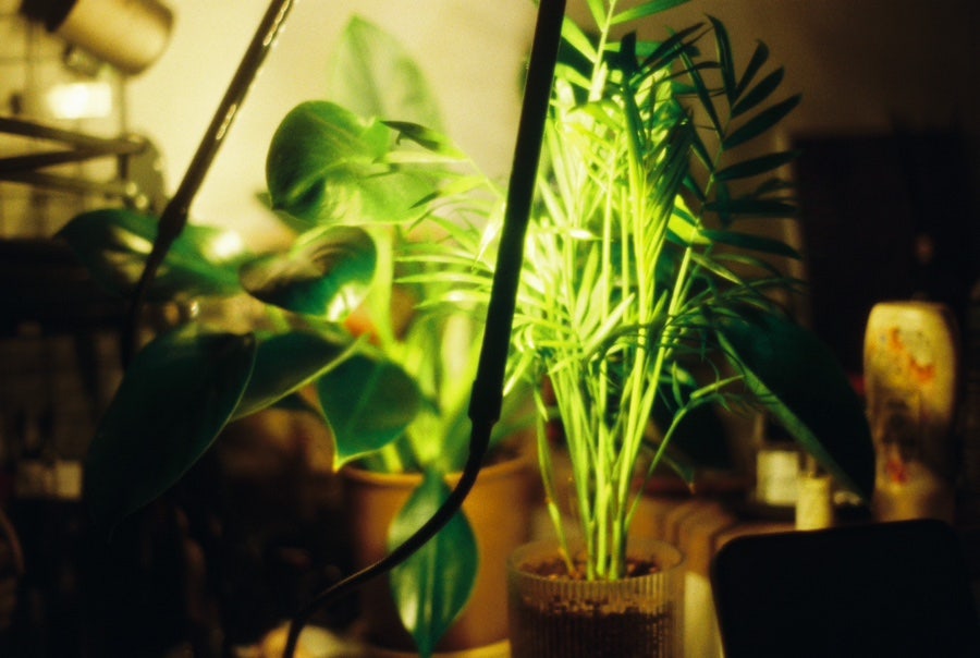 Film Dump
