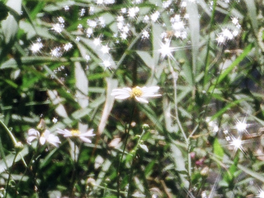 Minolta X-700 - 첫번째~열번째 롤