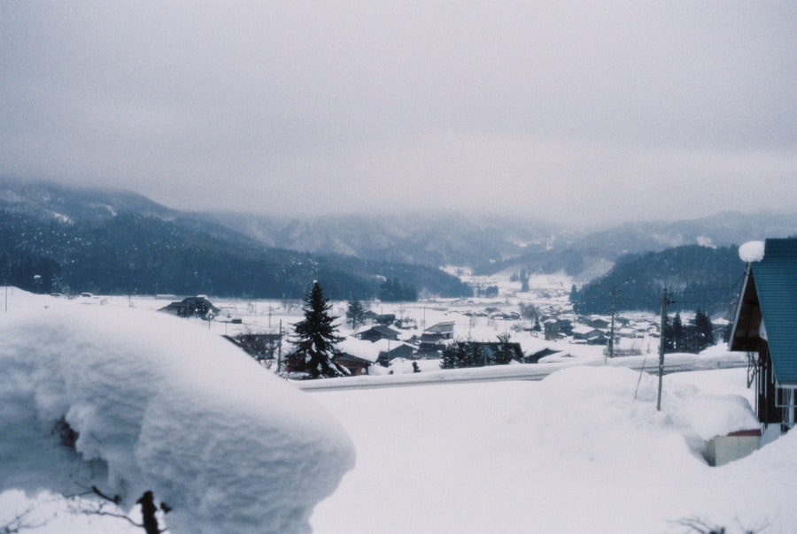 Minolta X-700 - 첫번째~열번째 롤