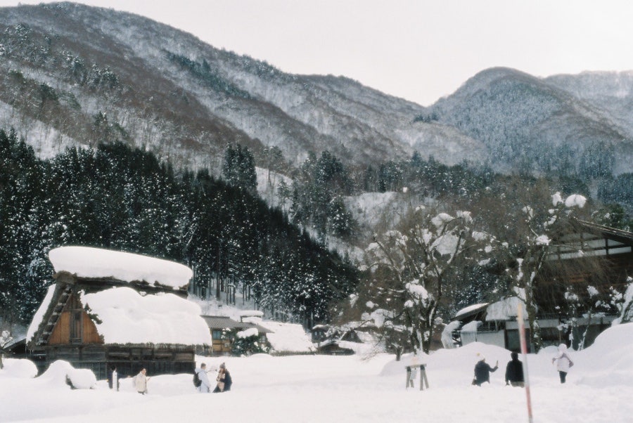 Minolta X-700 - 첫번째~열번째 롤