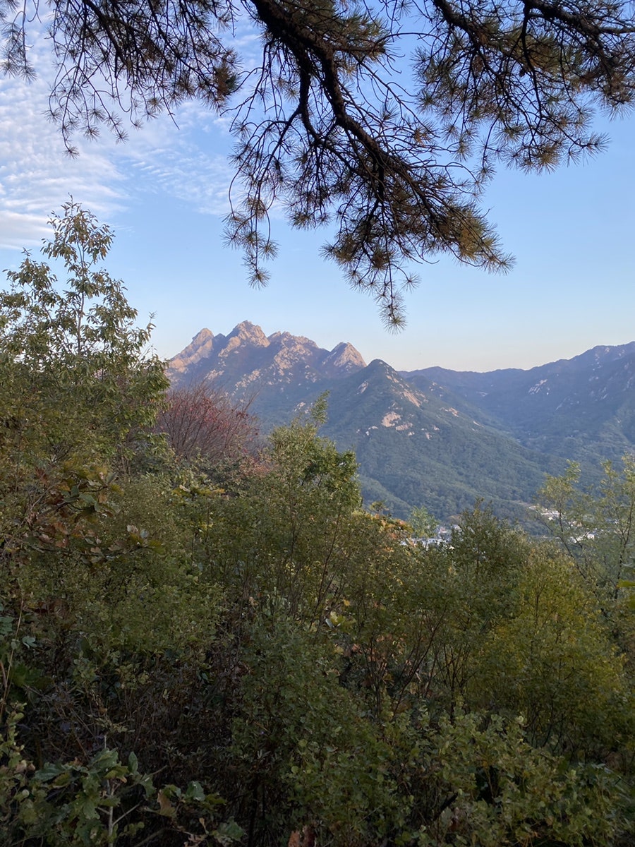 노고산 캠핑10/25~10/26