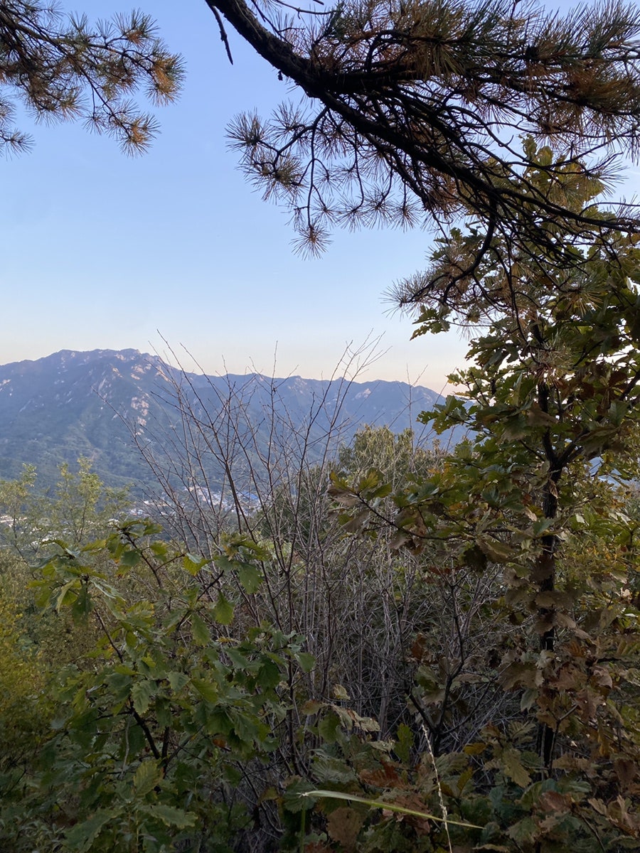 노고산 캠핑10/25~10/26