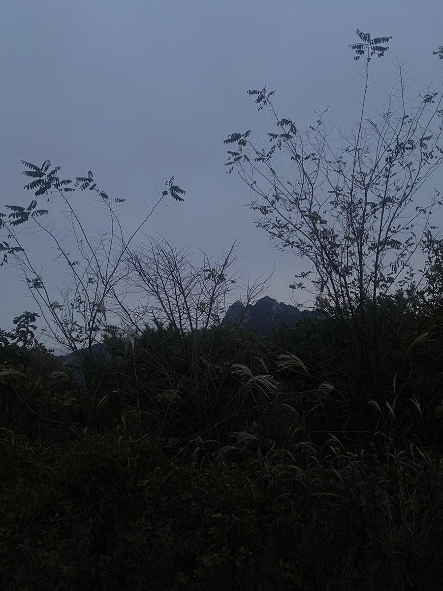 노고산 캠핑10/25~10/26