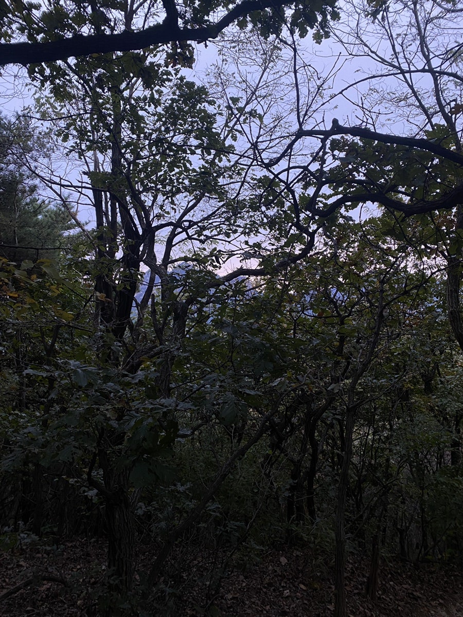 노고산 캠핑10/25~10/26