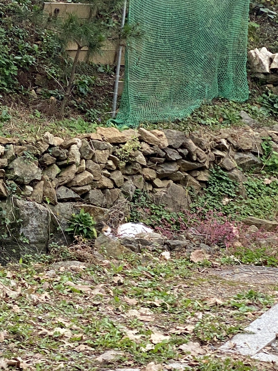 노고산 캠핑10/25~10/26