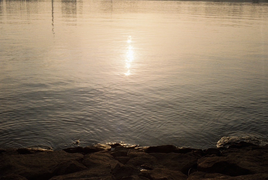 Rollei B35 - 첫번째 롤