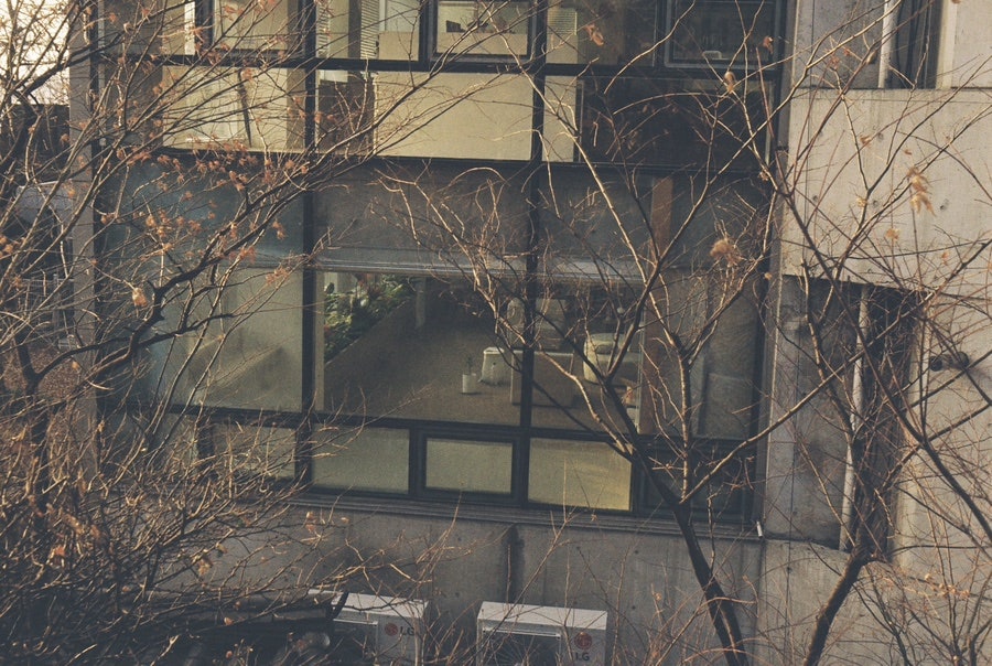 Rollei B35 - 첫번째 롤
