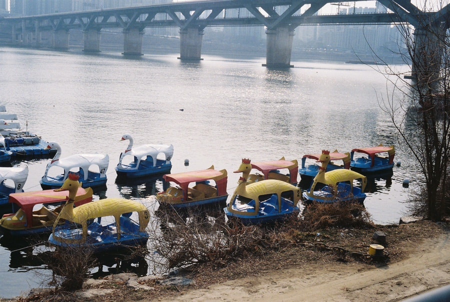 Rollei B35 - 두번째 롤