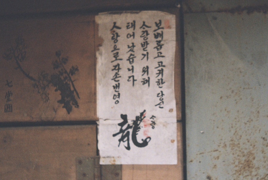 Rollei B 35- 세번째 롤