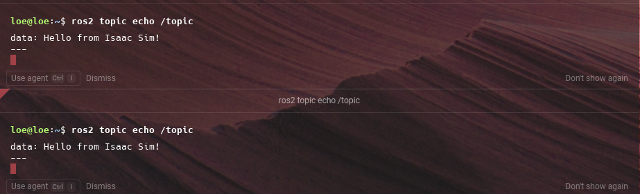 static publisher topic echo 확인